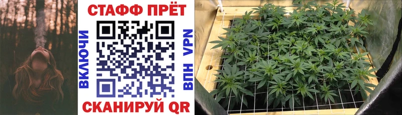 Наркошоп купить Кокаин  A PVP  Бошки Шишки  Вейп ТГК  Меф мяу мяу  Псилоцибиновые грибы  Еманжелинск