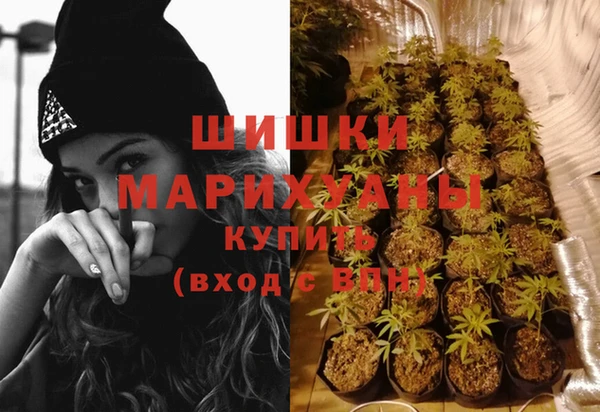 гашик Краснослободск