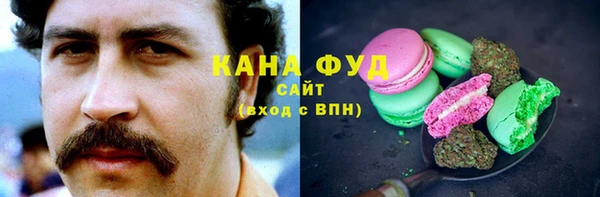 гашик Краснослободск