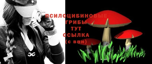 гашик Краснослободск