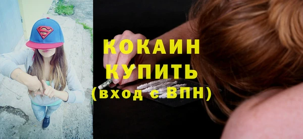 гашик Краснослободск