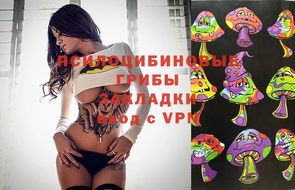 гашик Краснослободск