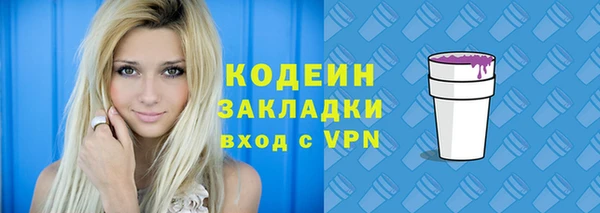 гашик Краснослободск