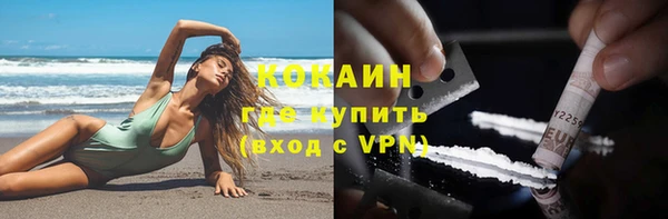 гашик Краснослободск
