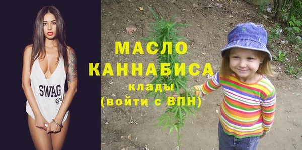 гашик Краснослободск