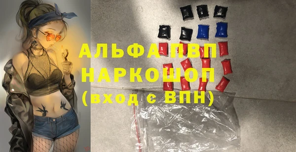 гашик Краснослободск