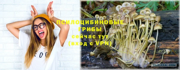 гашик Краснослободск