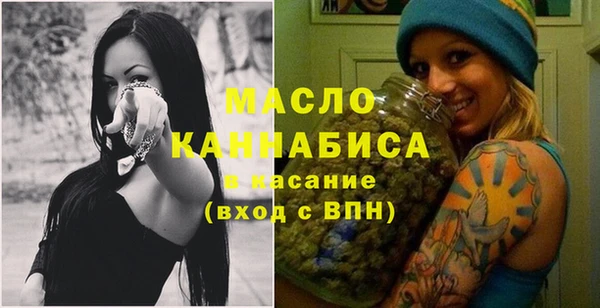 гашик Краснослободск
