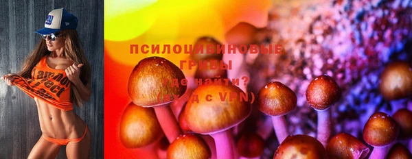 гашик Краснослободск